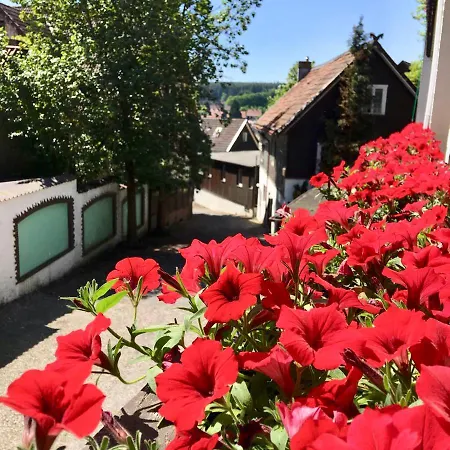 Hotel Recke Hotel apartamentowy Braunlage