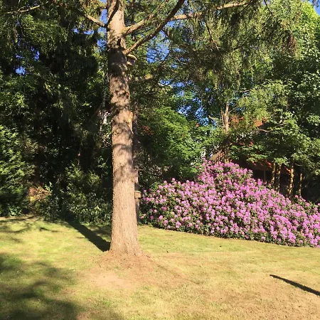 豪斯伊利斯酒店