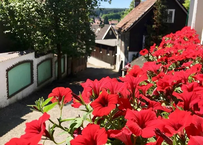Hotel Recke Апарт-отель Браунлаге