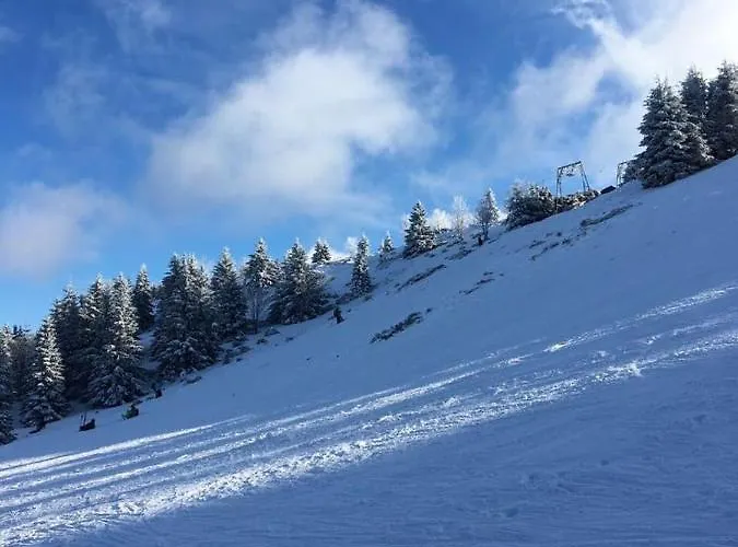 公寓式酒店 豪斯伊利斯酒店