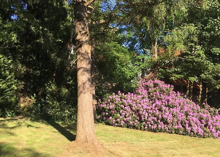 豪斯伊利斯酒店